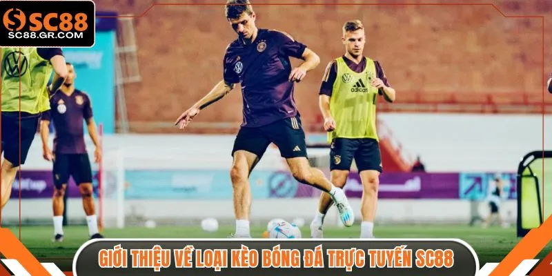 Giới thiệu về loại kèo bóng đá trực tuyến SC88